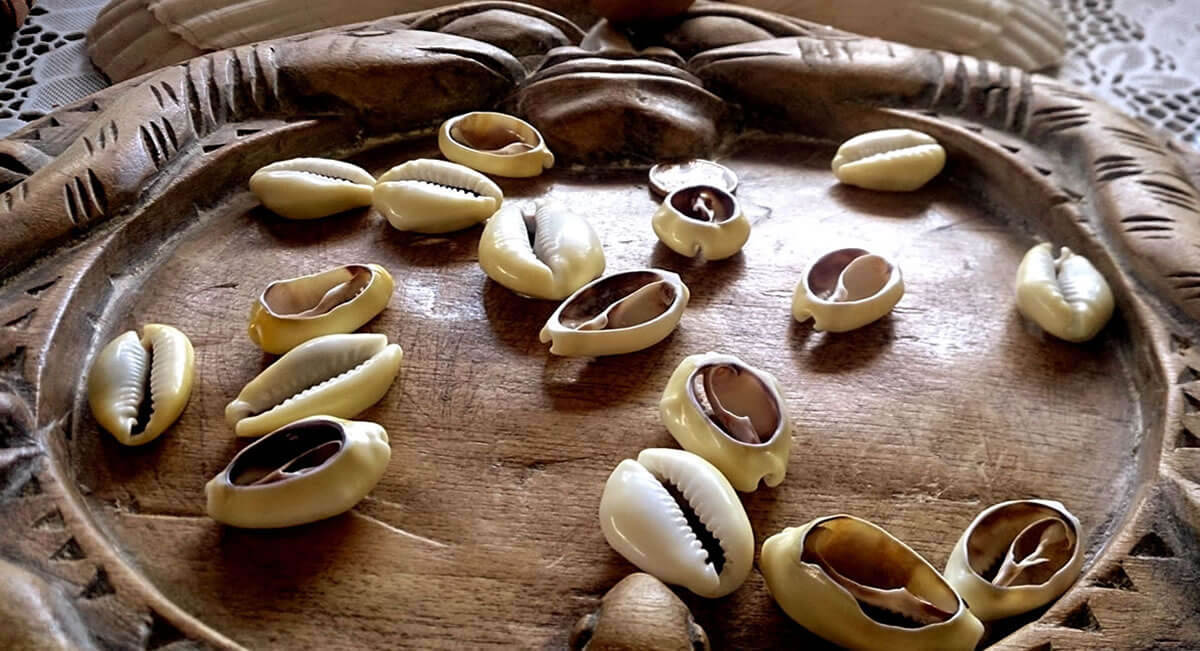 Arole Cultural | The Cowrie Shell Divination is the oracle and the voice of the Orishas in Candomblé and Santeria. Find out They reserve to your Destiny!