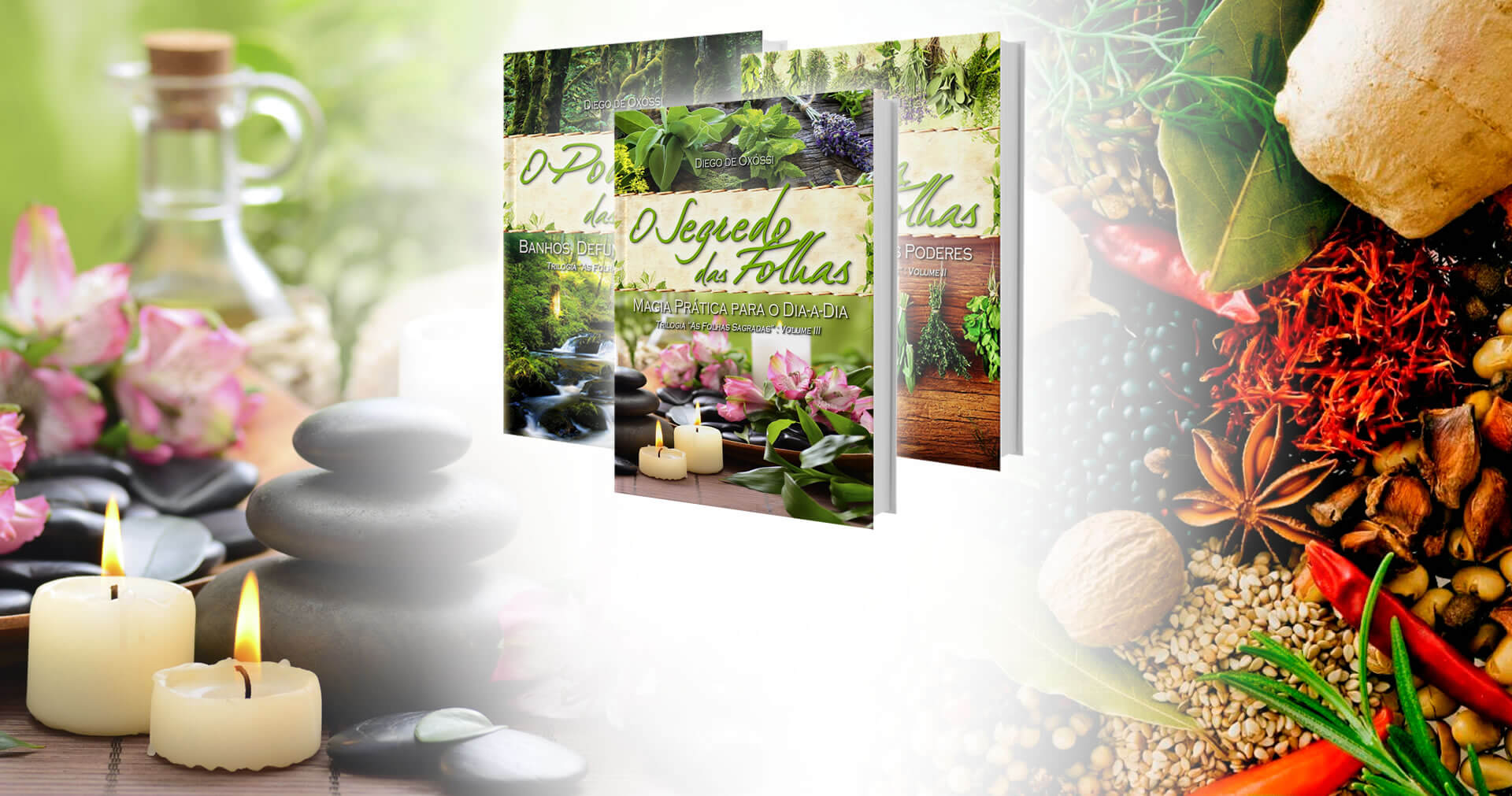 Arole Cultural | In volume 2 of the collection, babalosha Diego de Oxóssi presents the biggest dictionary of magic herbs in Brazil, with 365 plants in details.